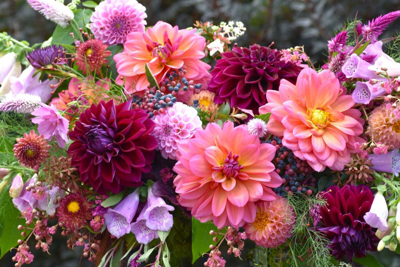 CSA Bi-Weekly Flower Subscription - Large Hand Tied Bouquet - Cold Creek Natural Farm