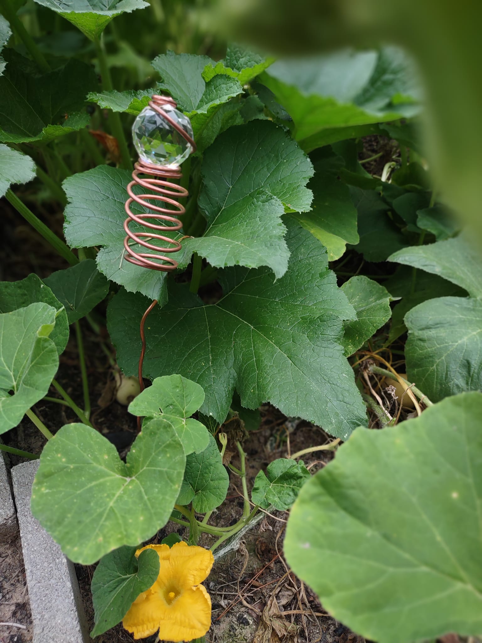 Electroculture Copper and Crystal Garden Coil - Cold Creek Natural Farm