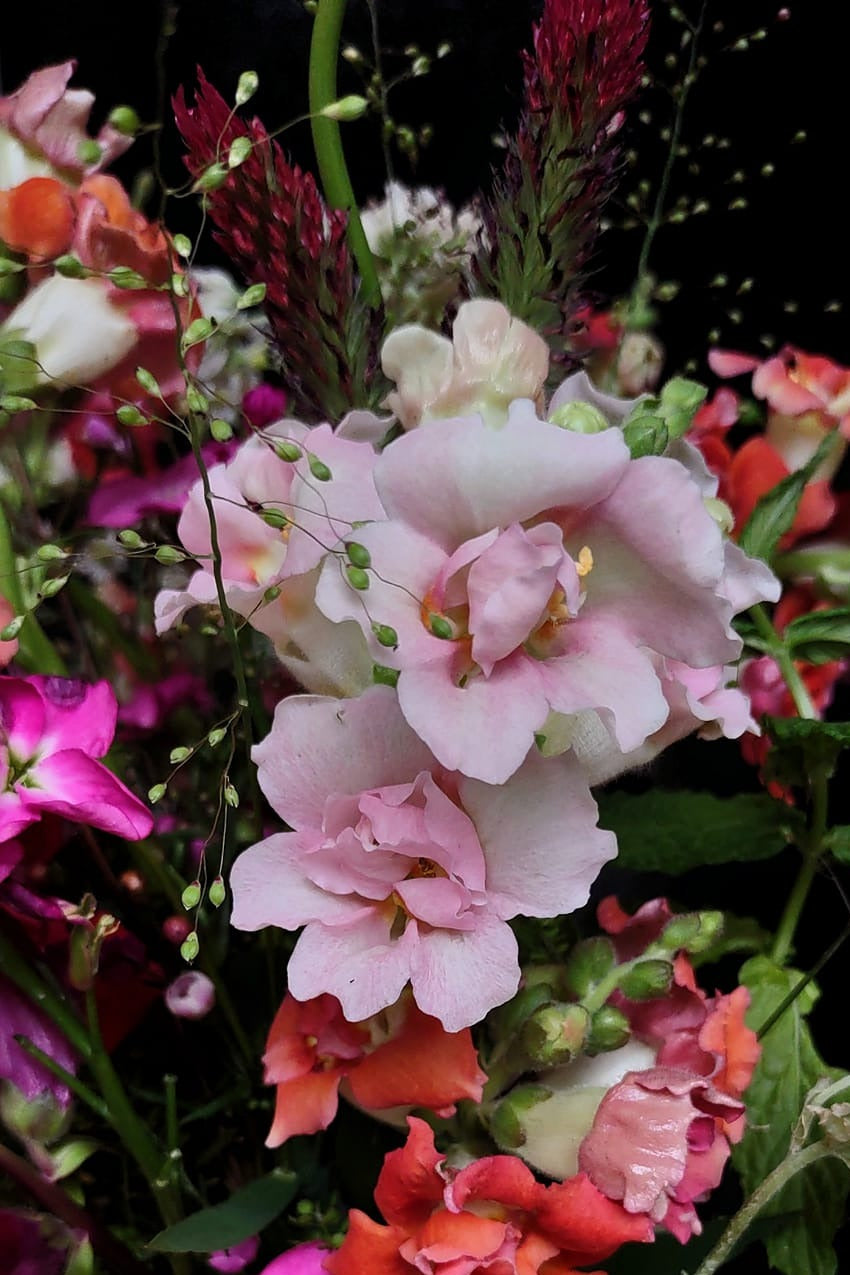 Mason Jar Cup Flower Arrangement - Cold Creek Natural Farm