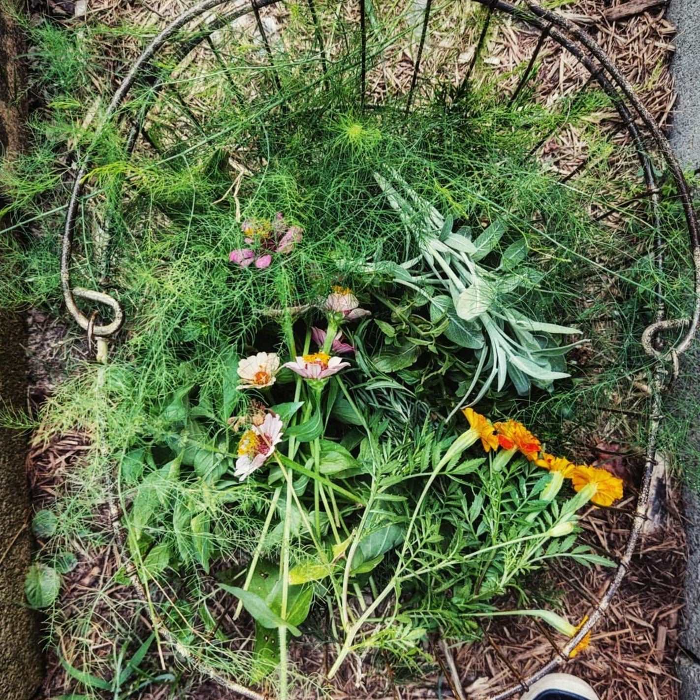 Organic Smudge Sticks - Cold Creek Natural Farm