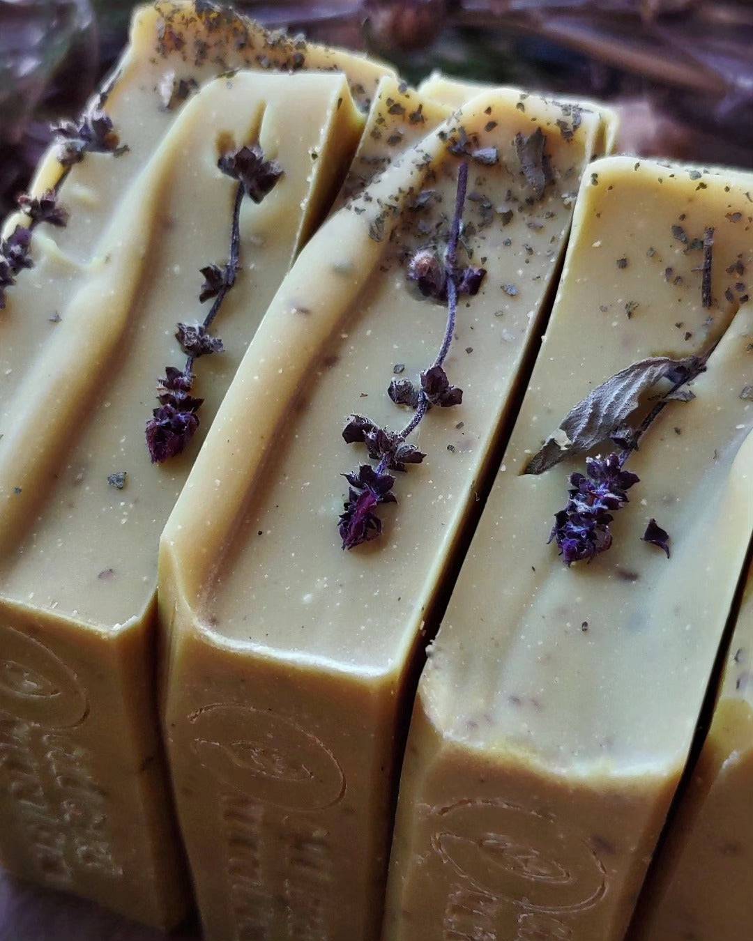 Turmeric & Garden Basil - Goat Milk - Artisan Handcrafted Soap - Holiday Collection - Cold Creek Natural Farm