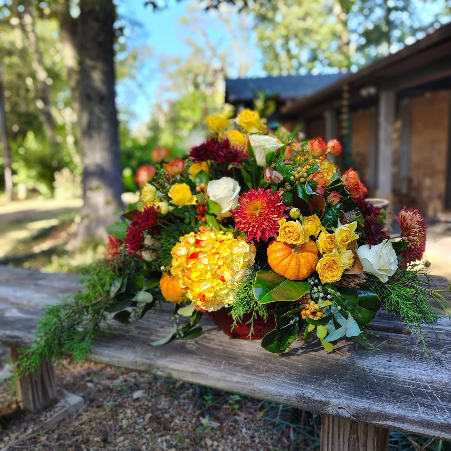 Ready for Delivery - Fall Flower Deluxe XL Arrangement - Free HAWL Delivery