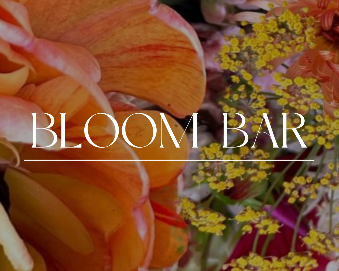Bloom Bar Pop Up - Exclusive HAWL Community