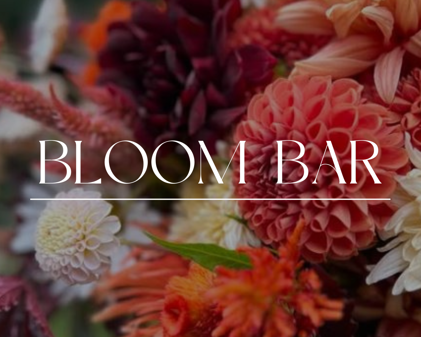 Bloom Bar Pop Up - Exclusive HAWL Community