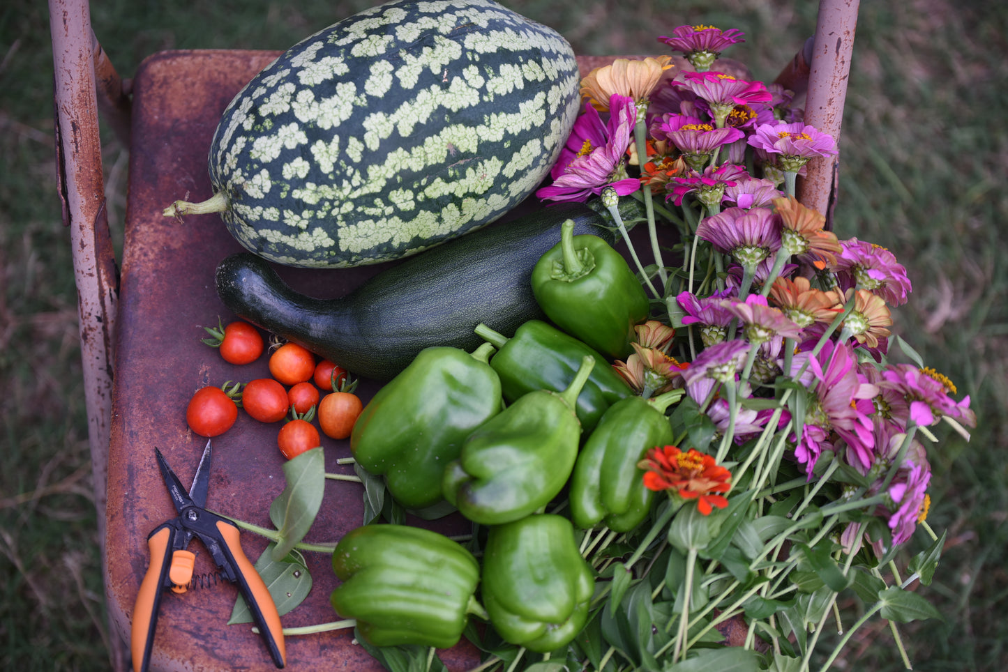 4 - Hour Garden Concierge Bundle