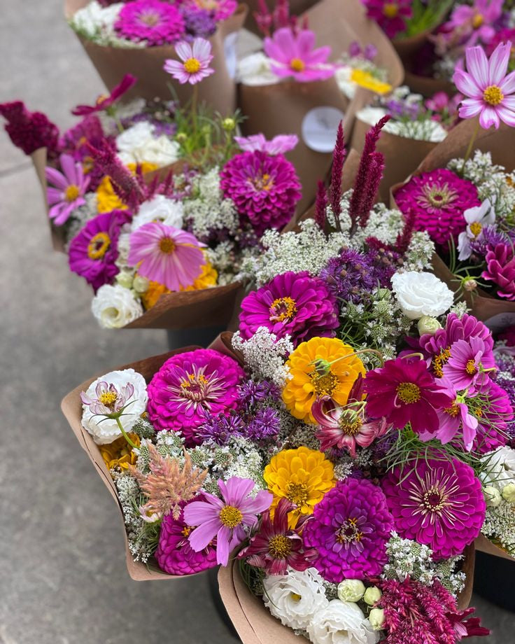 Bloom Bar Pop Up - Exclusive HAWL Community
