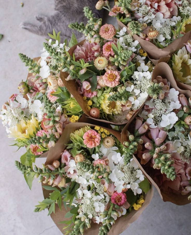 Bloom Bar Pop Up - Exclusive HAWL Community