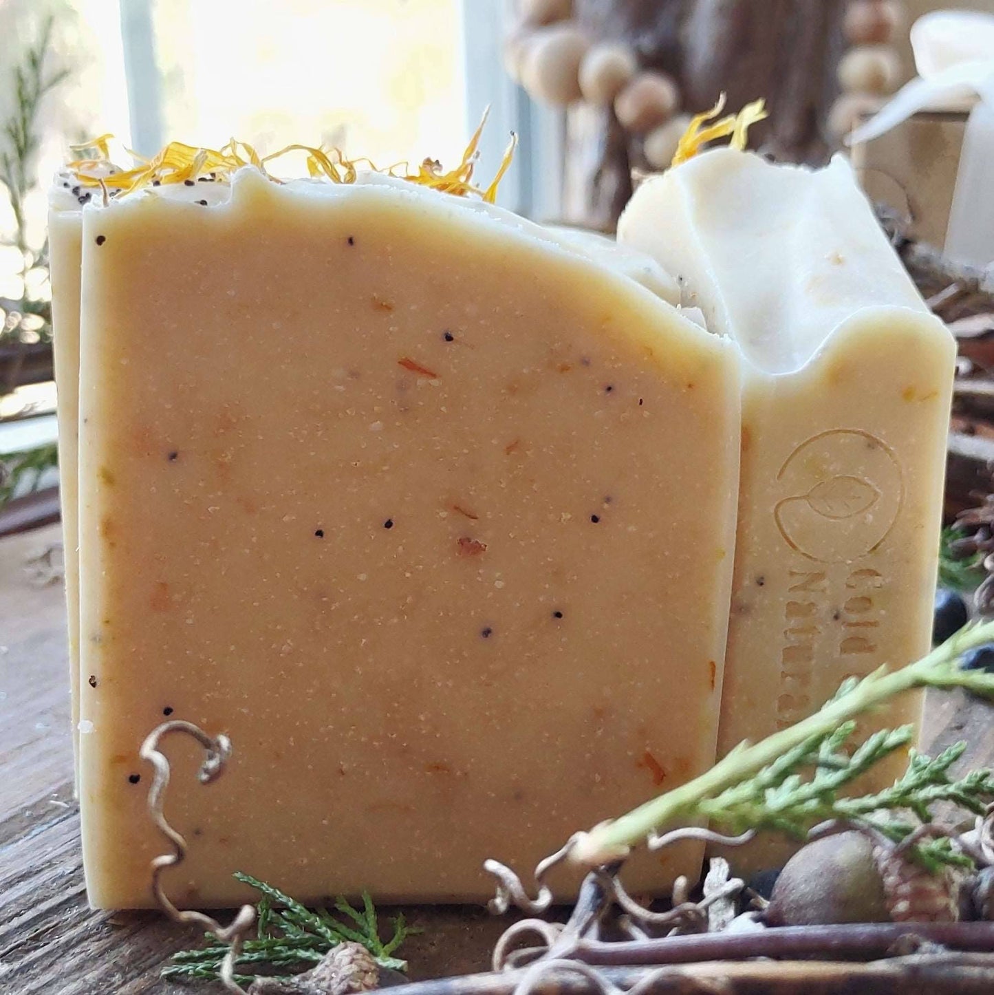 Blood Orange & Poppyseed - Goat Milk - Artisan Handcrafted Goat Milk Soap - Holiday Collection - Cold Creek Natural Farm