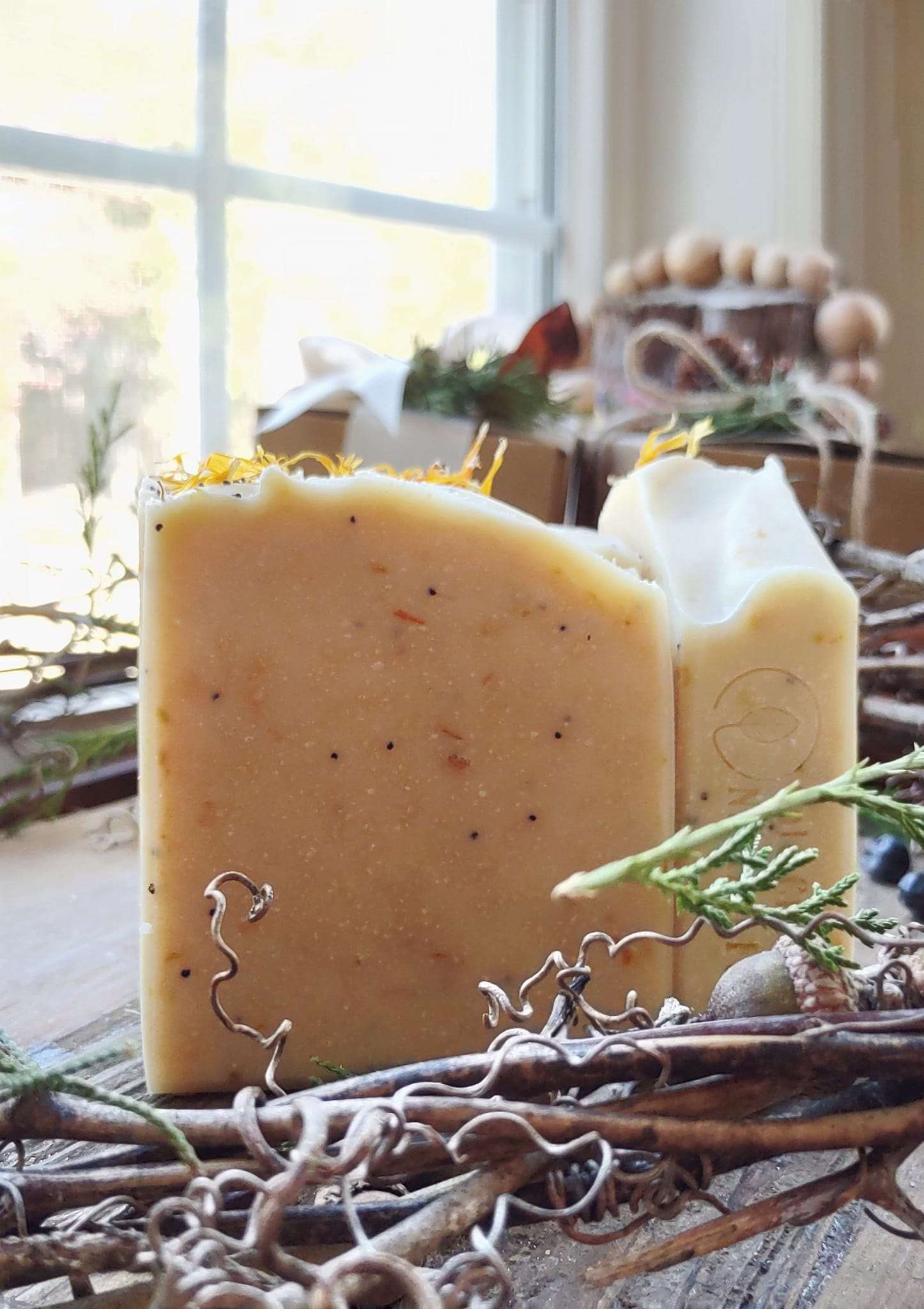 Blood Orange & Poppyseed - Goat Milk - Artisan Handcrafted Goat Milk Soap - Holiday Collection - Cold Creek Natural Farm