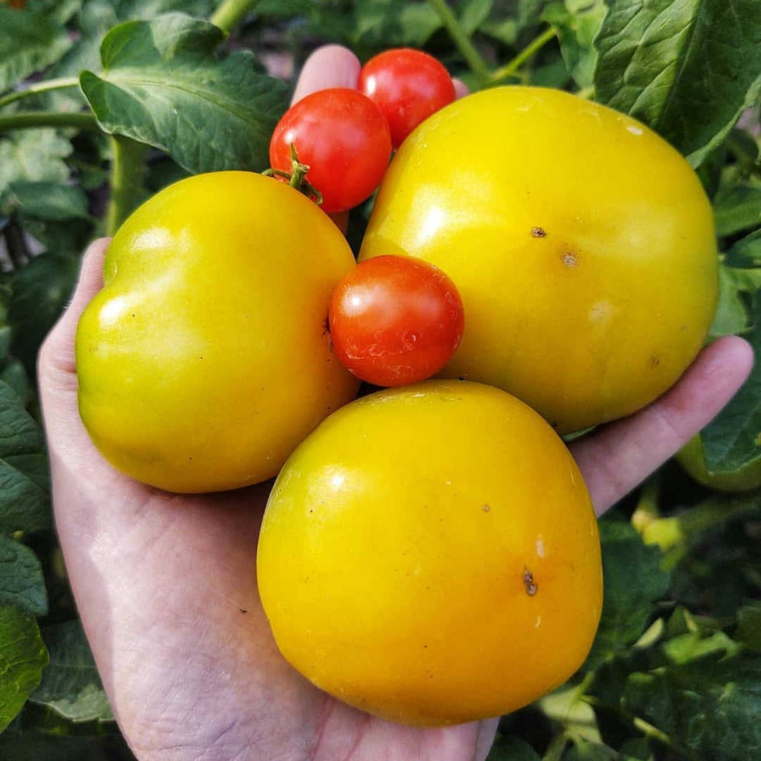 Organic Plant Food - Cold Creek Natural Farm