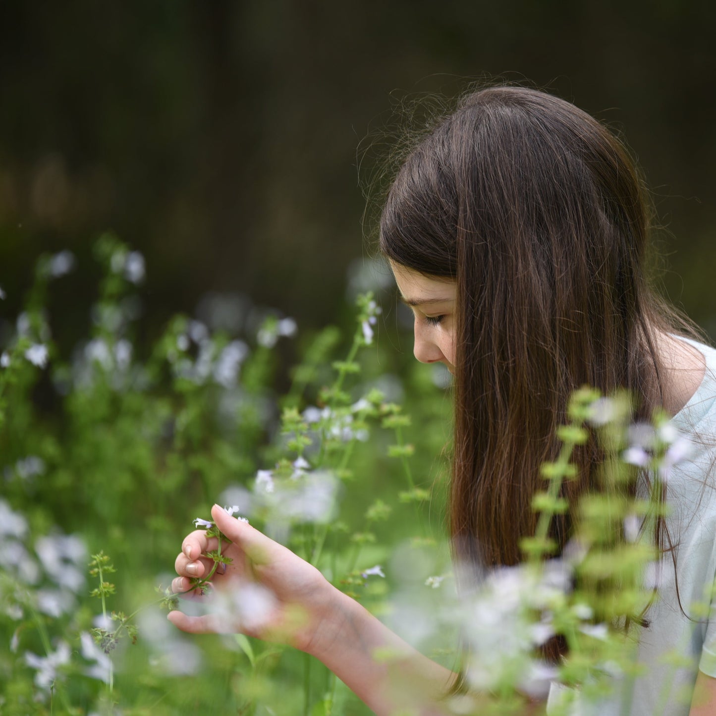 Woman in a field of flowers and greenery