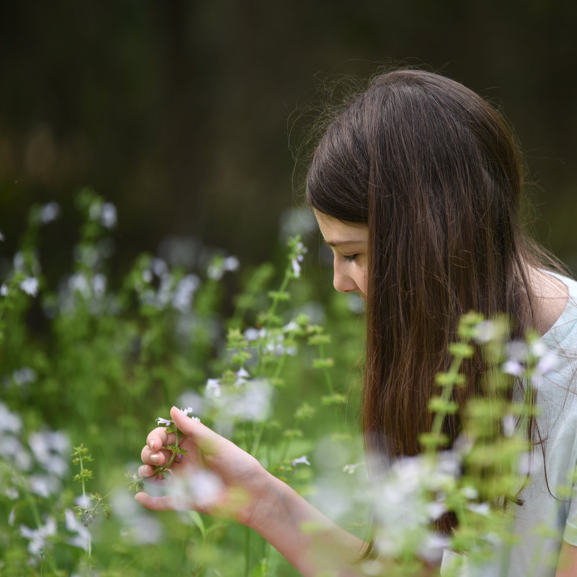 Woman in a field of flowers and greenery