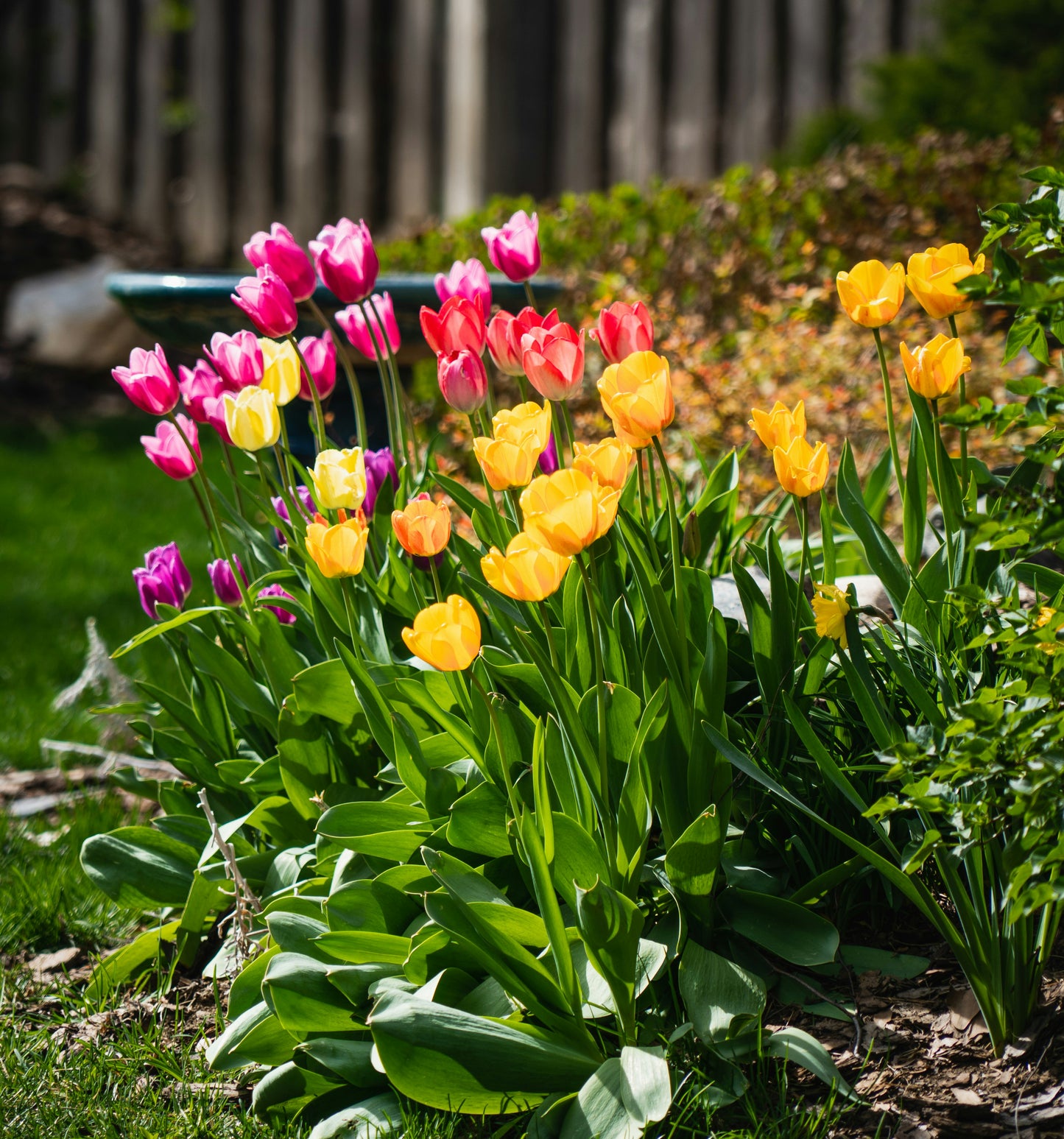 Private Garden Concierge Session