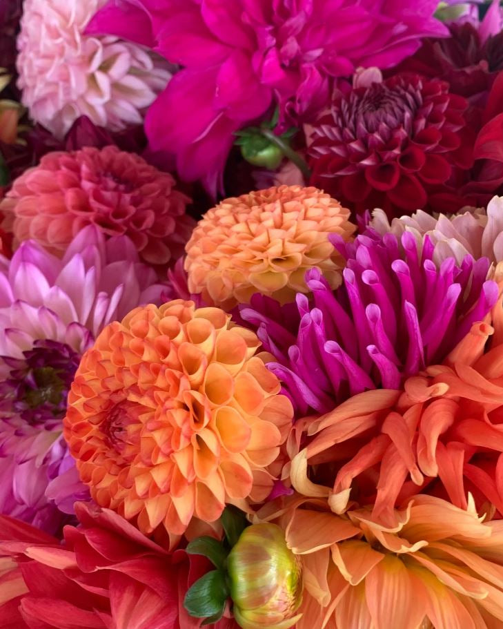 Bloom Bar Pop Up - Exclusive HAWL Community