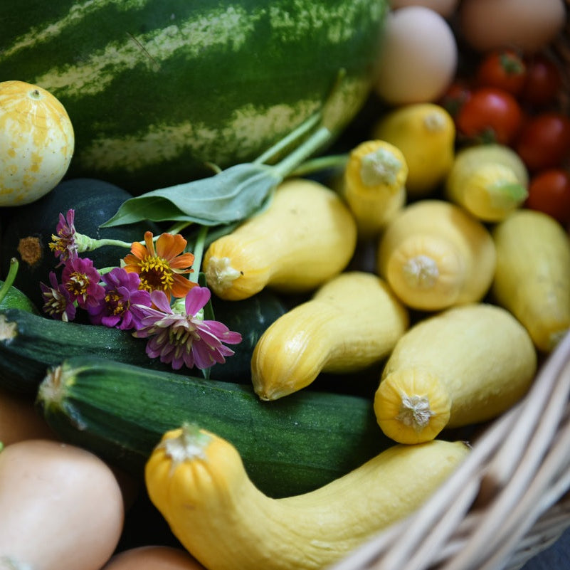 Organic Plant Food - Cold Creek Natural Farm