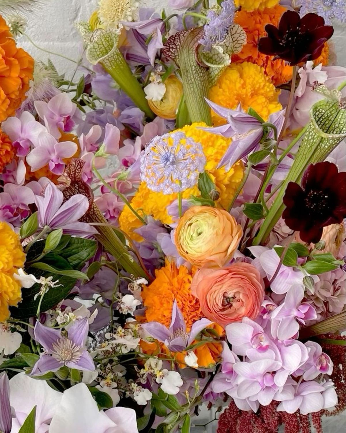 Bloom Bar Pop Up - Exclusive HAWL Community